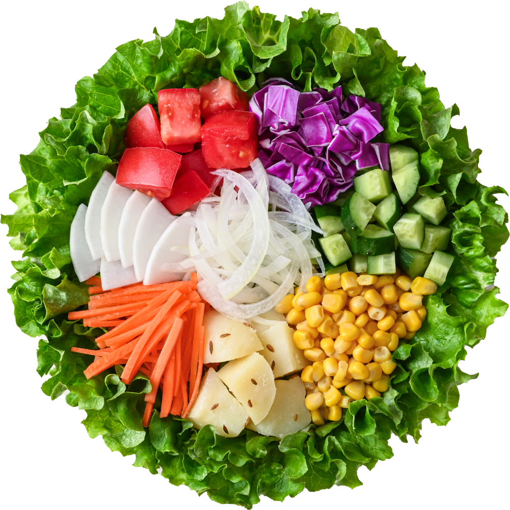 1日分の野菜サラダボウル